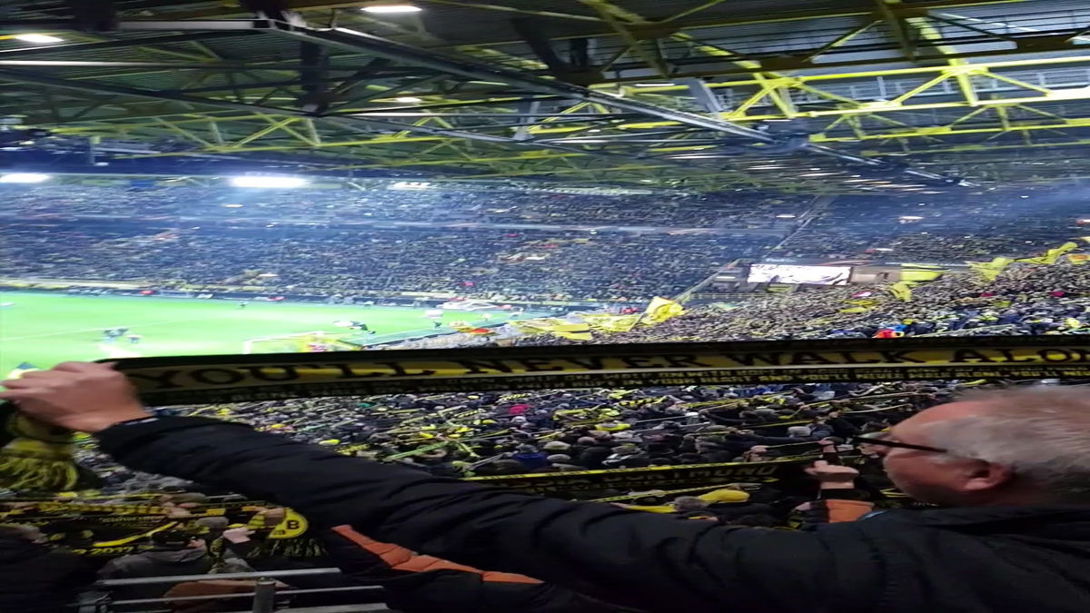 Alle Videos